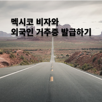 비자만들기